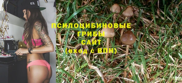 PSILOCYBIN Алексеевка