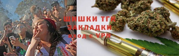 гидра Алексин
